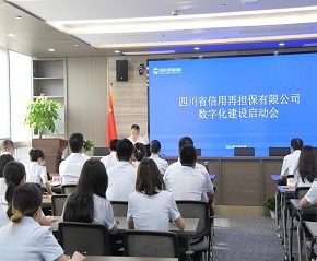 四川再担保召开数字化建设启动会